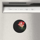 Rote Rose Kühlschrankmagnet (In Situ (Geschirrspüler))