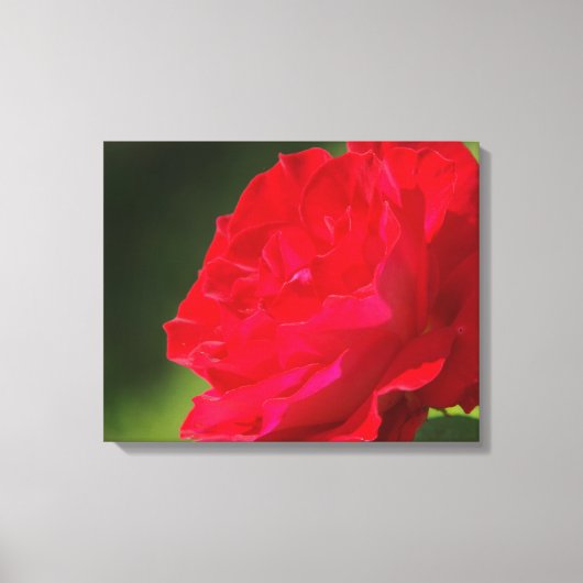 ROTE ROSE - LEINWAND (Vorderseite)
