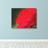 ROTE ROSE - LEINWAND (Insitu (Holzboden))