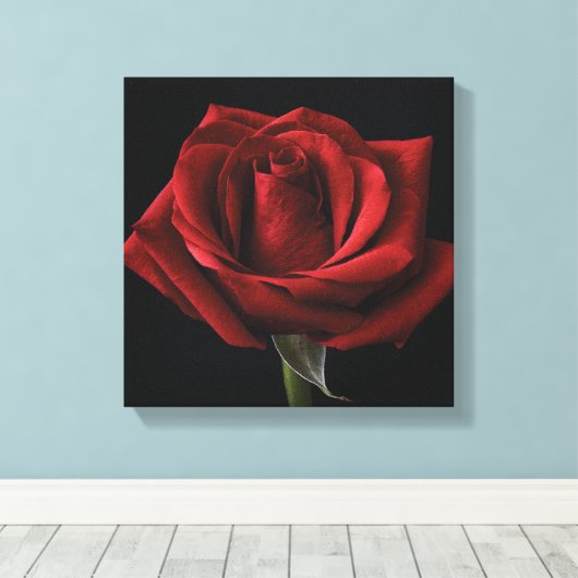 Rote Rose Leinwanddruck (Insitu (Holzboden))