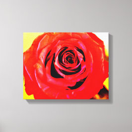 Rote Rose Leinwanddruck