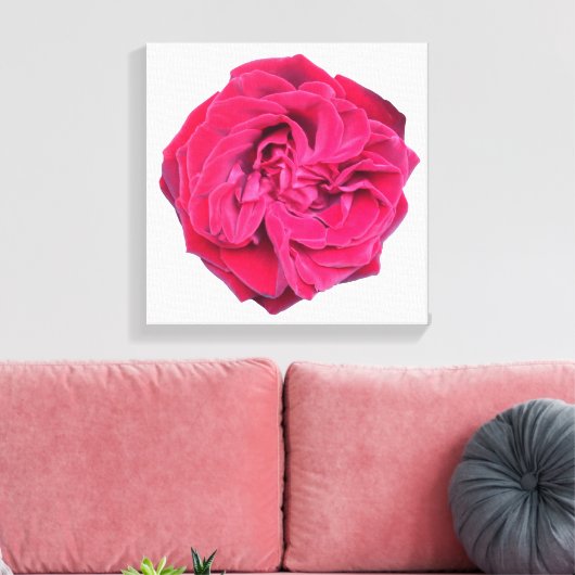 Rote Rose Leinwanddruck (Insitu (Wohnzimmer))