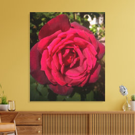 Rote Rose Leinwanddruck