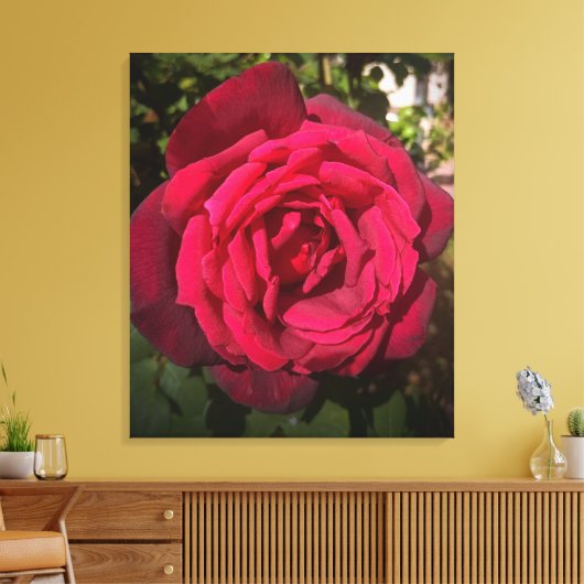 Rote Rose Leinwanddruck (Insitu (Wohnzimmer))