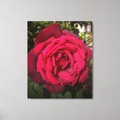 Rote Rose Leinwanddruck (Vorderseite)