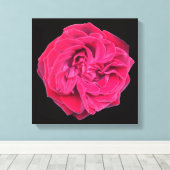 Rote Rose Leinwanddruck (Insitu (Holzboden))