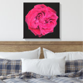 Rote Rose Leinwanddruck (Insitu (Schlafzimmer))
