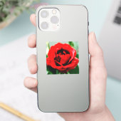 Rote Rose Liebe Aufkleber (Telefon)