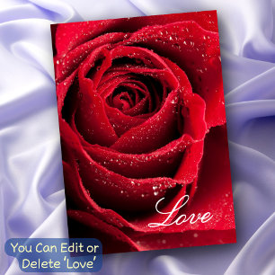 Rote Rose Liebe Beziehung Freundschaften Allzweck Karte