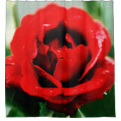 Rote Rose Liebe Duschvorhang (Vorderseite)