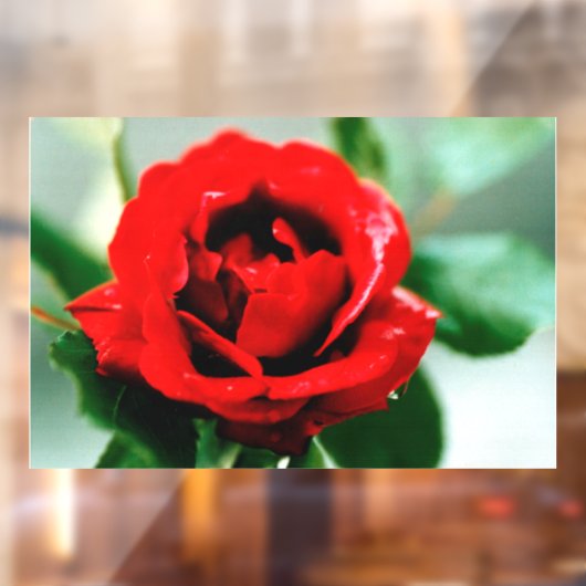 Rote Rose Liebe Fensteraufkleber (Blatt 2)