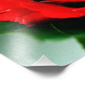 Rote Rose Liebe Fotodruck (Ecke)