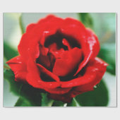 Rote Rose Liebe Geschenkpapier (Flach)