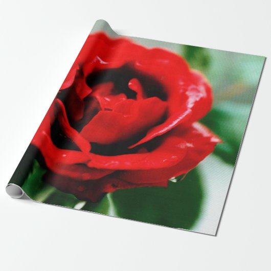 Rote Rose Liebe Geschenkpapier (Ungerollt)