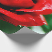 Rote Rose Liebe Geschenkpapier (Ecke)