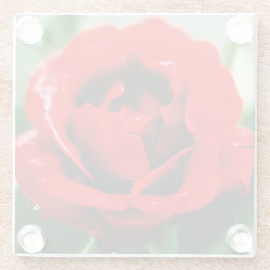 Rote Rose Liebe Glasuntersetzer (Rückseite)