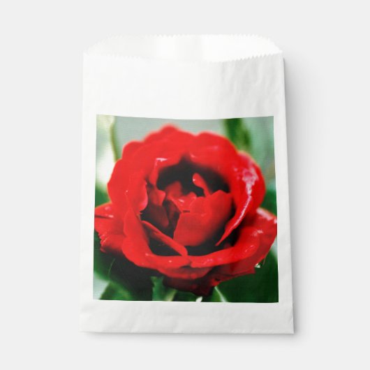 Rote Rose Liebe Hochzeit Geschenktütchen (Vorderseite)