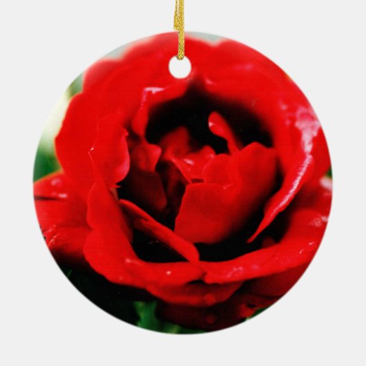 Rote Rose Liebe Keramik Ornament (Hinten)