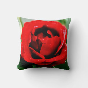 Rote Rose Liebe Kissen