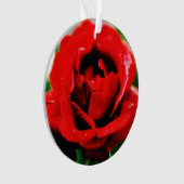 Rote Rose Liebe Ornament (Vorderseite)