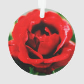 Rote Rose Liebe Ornament (Rückseite)