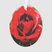 Rote Rose Liebe Ornament (Vorderseite)