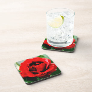 Rote Rose Liebe Platz Getränkeuntersetzer