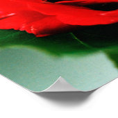 Rote Rose Liebe Poster (Ecke)