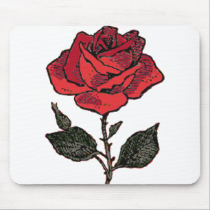 Rote Rose Liebe Rosa Rose Perennale Blume Petals Mousepad