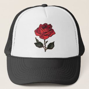 Rote Rose Liebe Rosa Rose Perennale Blume Petals Truckerkappe