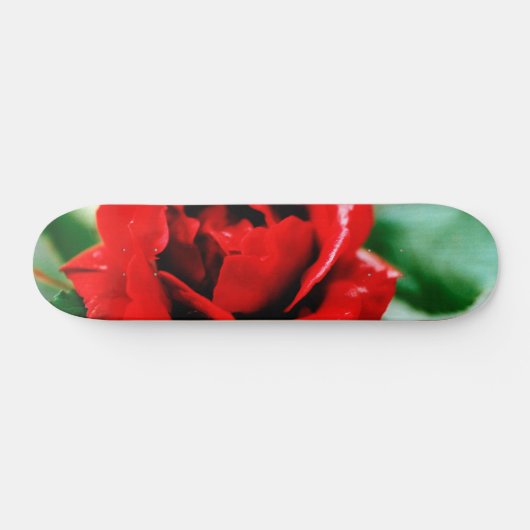 Rote Rose Liebe Skateboard (Horizontal)