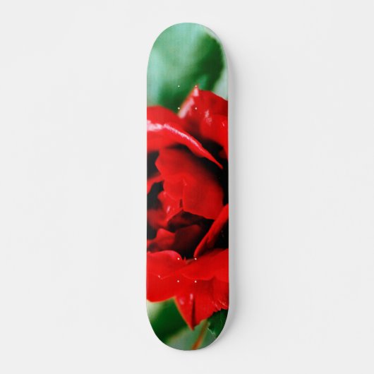 Rote Rose Liebe Skateboard (Vorne)