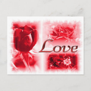 rote Rose Liebe Trio Postkarte