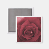 rote Rose Magnet (Vorderseite/Rückseite)