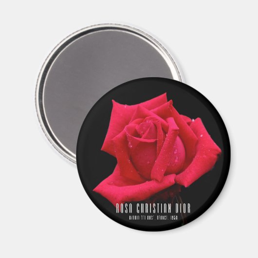 Rote Rose Magnet (Vorderseite/Rückseite)