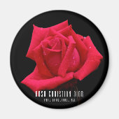 Rote Rose Magnet (Vorne)