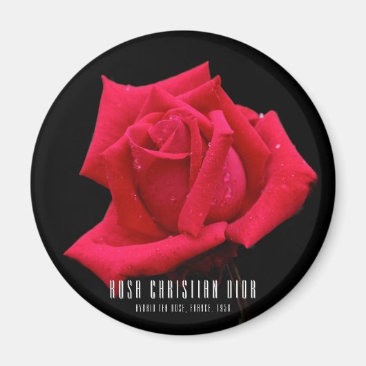 Rote Rose Magnet (Vorne)