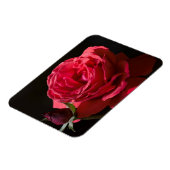 Rote Rose Magnet (Linke Seite)