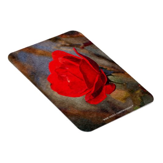 Rote Rose Magnet (Rechte Seite)