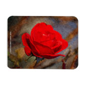 Rote Rose Magnet (Horizontal)
