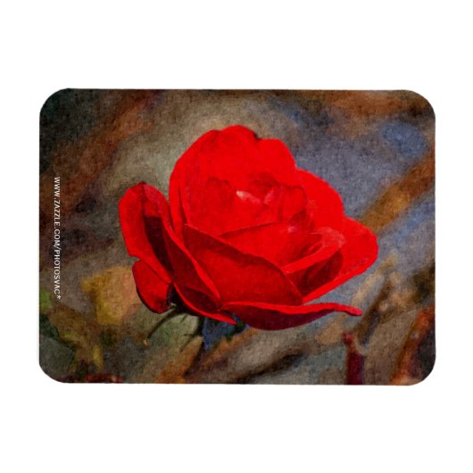 Rote Rose Magnet (Horizontal)