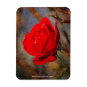 Rote Rose Magnet (Vertikal)