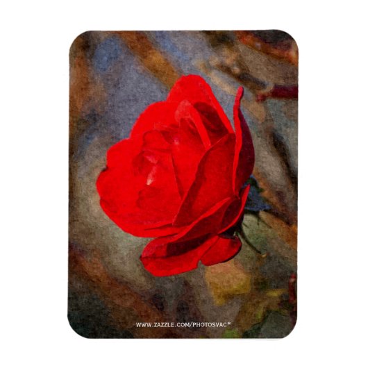 Rote Rose Magnet (Vertikal)