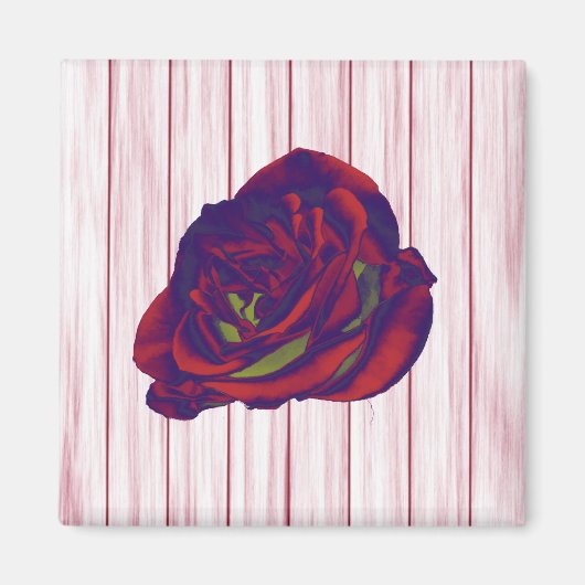 Rote Rose Magnet (Vorne)