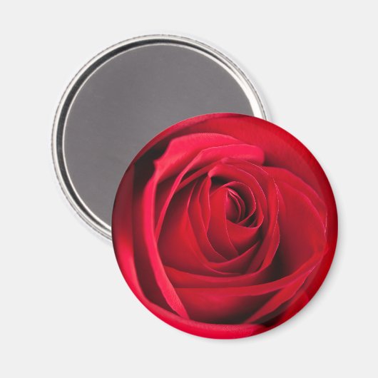 Rote Rose Magnet (Vorderseite/Rückseite)