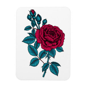 rote Rose Magnet