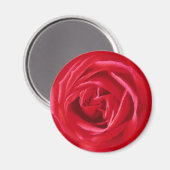 Rote Rose Magnet (Vorderseite/Rückseite)