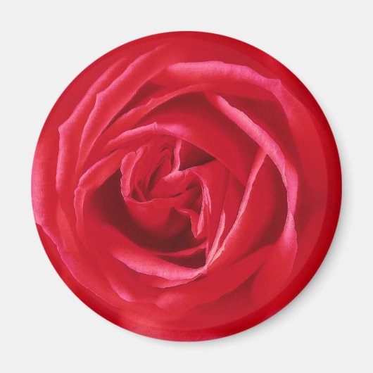 Rote Rose Magnet (Vorne)