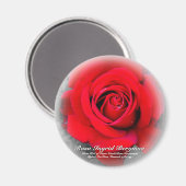 Rote Rose Magnet (Vorderseite/Rückseite)