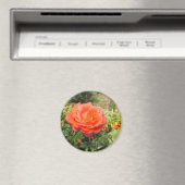 Rote Rose-Magnet Magnet (In Situ (Geschirrspüler))
